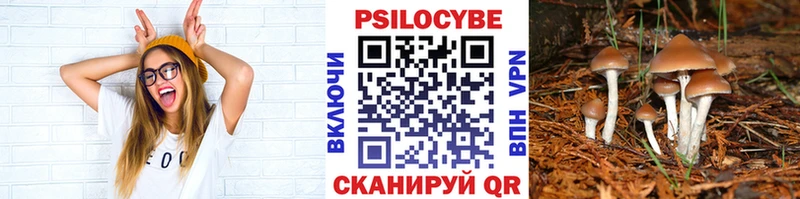 дарк нет клад  Стерлитамак  Галлюциногенные грибы MAGIC MUSHROOMS  hydra как войти 